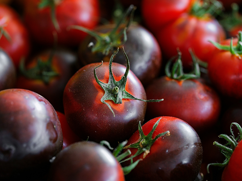 Los antioxidantes explicados en términos simple II