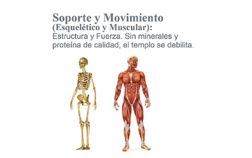 La Maquinaria Perfecta: Los 11 Sistemas