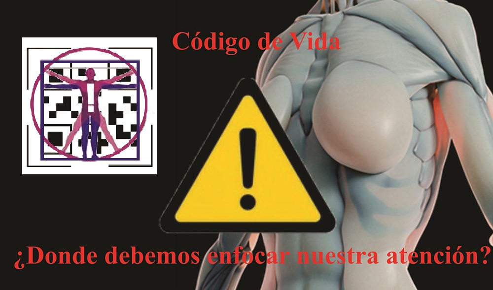 CÓDIGO DE VIDA